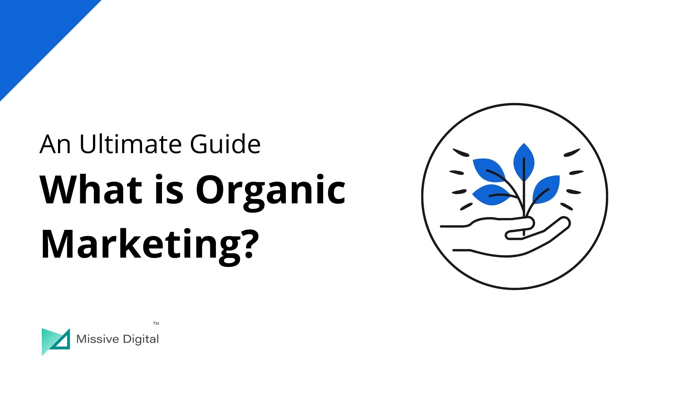 What is Organic Marketing