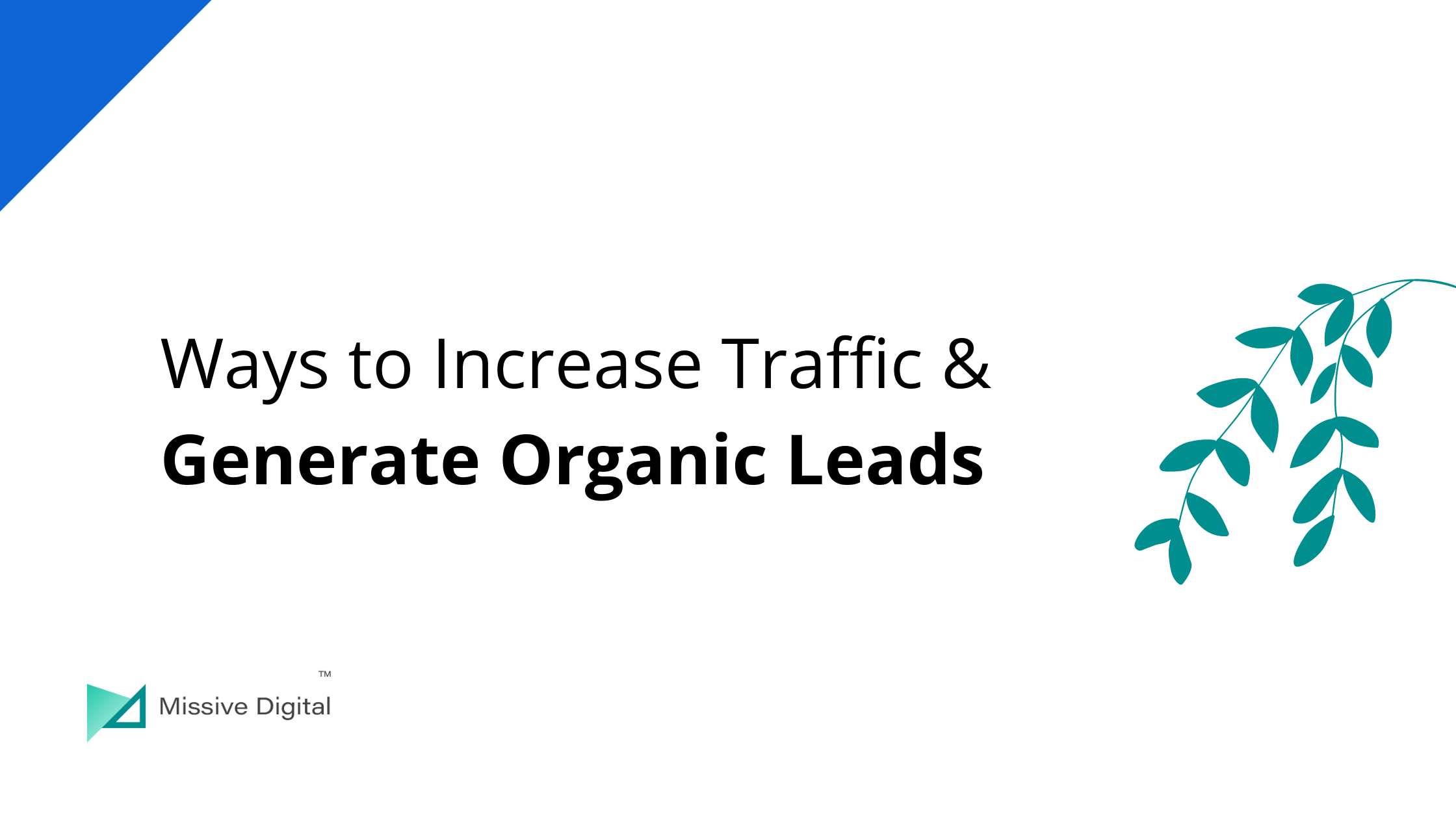 Increase Traffic & Generate Organic Leads