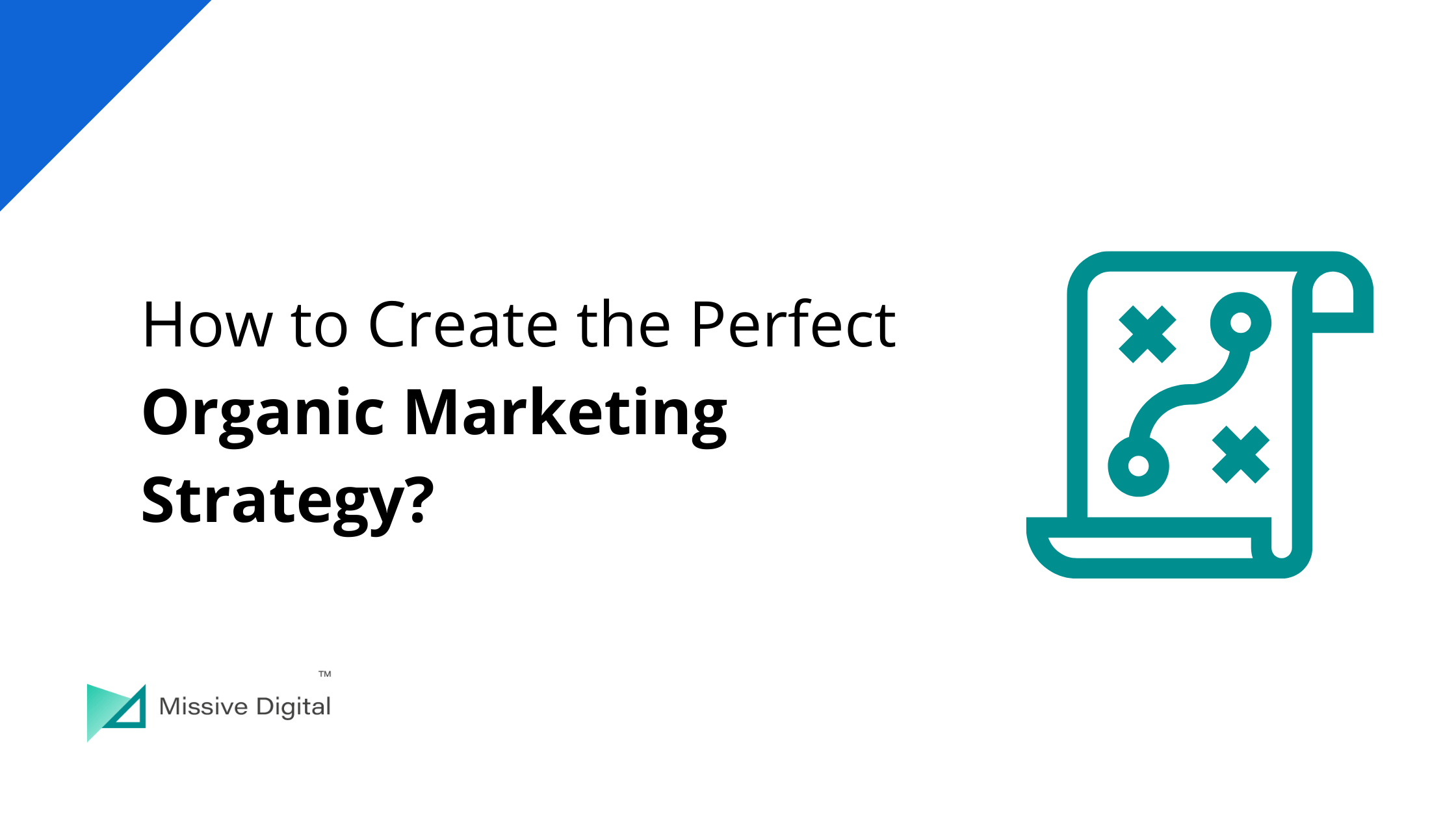 How to Create the Perfect Organic Marketing Strategy?